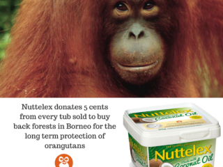 SPONSORSHIP PARTNERSHIP Nuttelex / Orangutan Foundation International