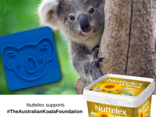 AUSTRALIAN KOALA FOUNDATION